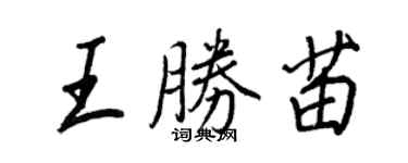 王正良王胜苗行书个性签名怎么写