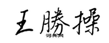 王正良王胜操行书个性签名怎么写