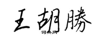 王正良王胡胜行书个性签名怎么写
