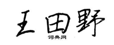 王正良王田野行书个性签名怎么写