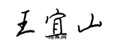 王正良王宜山行书个性签名怎么写