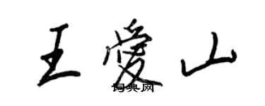 王正良王爱山行书个性签名怎么写