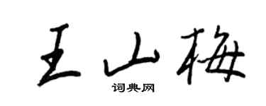王正良王山梅行书个性签名怎么写