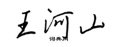 王正良王河山行书个性签名怎么写