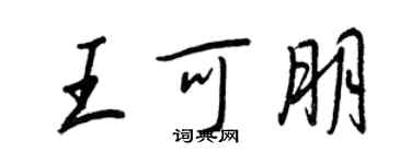 王正良王可朋行书个性签名怎么写