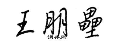 王正良王朋垒行书个性签名怎么写