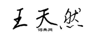 王正良王天然行书个性签名怎么写