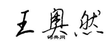 王正良王奥然行书个性签名怎么写