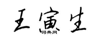 王正良王寅生行书个性签名怎么写