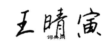 王正良王晴寅行书个性签名怎么写