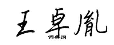 王正良王卓胤行书个性签名怎么写