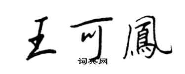 王正良王可凤行书个性签名怎么写