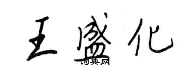 王正良王盛化行书个性签名怎么写