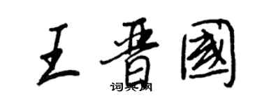 王正良王晋国行书个性签名怎么写