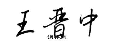王正良王晋中行书个性签名怎么写