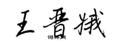 王正良王晋娥行书个性签名怎么写