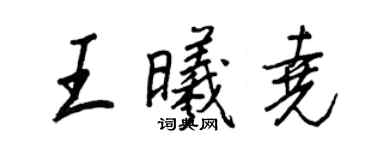 王正良王曦尧行书个性签名怎么写