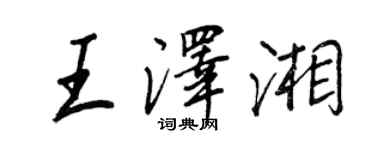 王正良王泽湘行书个性签名怎么写