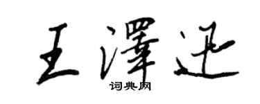 王正良王泽迅行书个性签名怎么写