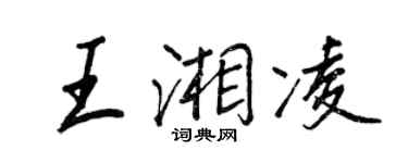 王正良王湘凌行书个性签名怎么写