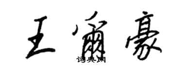 王正良王尔豪行书个性签名怎么写