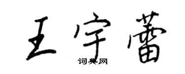 王正良王宇蕾行书个性签名怎么写