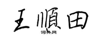 王正良王顺田行书个性签名怎么写