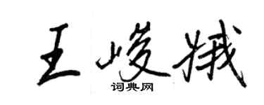 王正良王峻娥行书个性签名怎么写