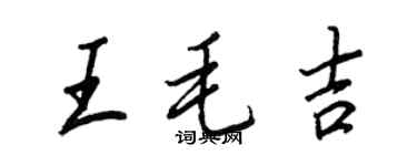 王正良王毛吉行书个性签名怎么写