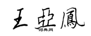 王正良王亚凤行书个性签名怎么写