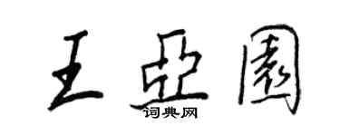 王正良王亚园行书个性签名怎么写