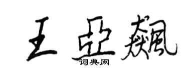 王正良王亚飚行书个性签名怎么写