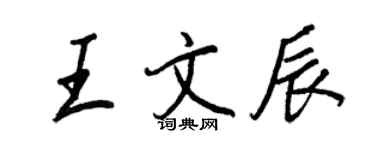 王正良王文辰行书个性签名怎么写