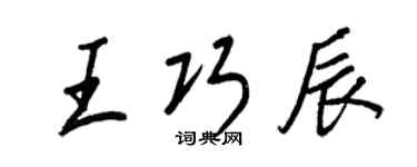 王正良王巧辰行书个性签名怎么写