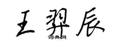 王正良王羿辰行书个性签名怎么写