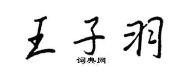 王正良王子羽行书个性签名怎么写