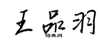 王正良王品羽行书个性签名怎么写
