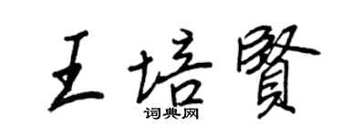 王正良王培贤行书个性签名怎么写