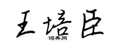 王正良王培臣行书个性签名怎么写