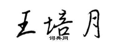 王正良王培月行书个性签名怎么写