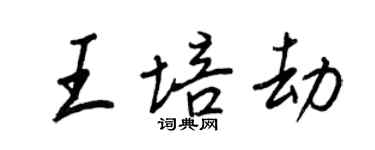 王正良王培劫行书个性签名怎么写