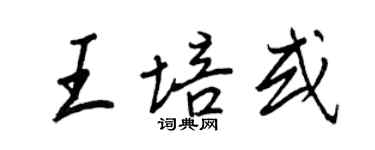 王正良王培或行书个性签名怎么写
