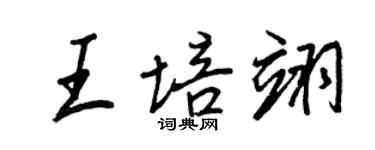 王正良王培翊行书个性签名怎么写