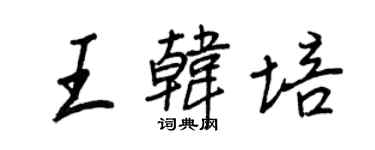 王正良王韩培行书个性签名怎么写