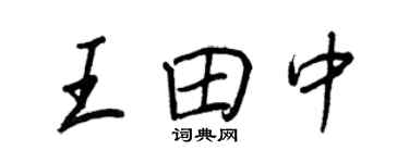 王正良王田中行书个性签名怎么写