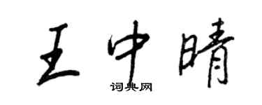 王正良王中晴行书个性签名怎么写