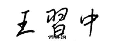 王正良王习中行书个性签名怎么写