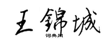 王正良王锦城行书个性签名怎么写