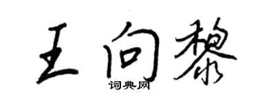 王正良王向黎行书个性签名怎么写