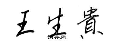 王正良王生贵行书个性签名怎么写